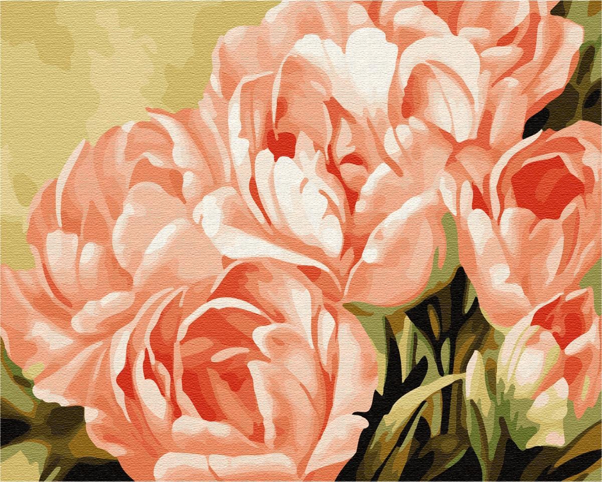 Картина по номерам Brushme GX7268 Розовые розы 40x50 см (1311413498)