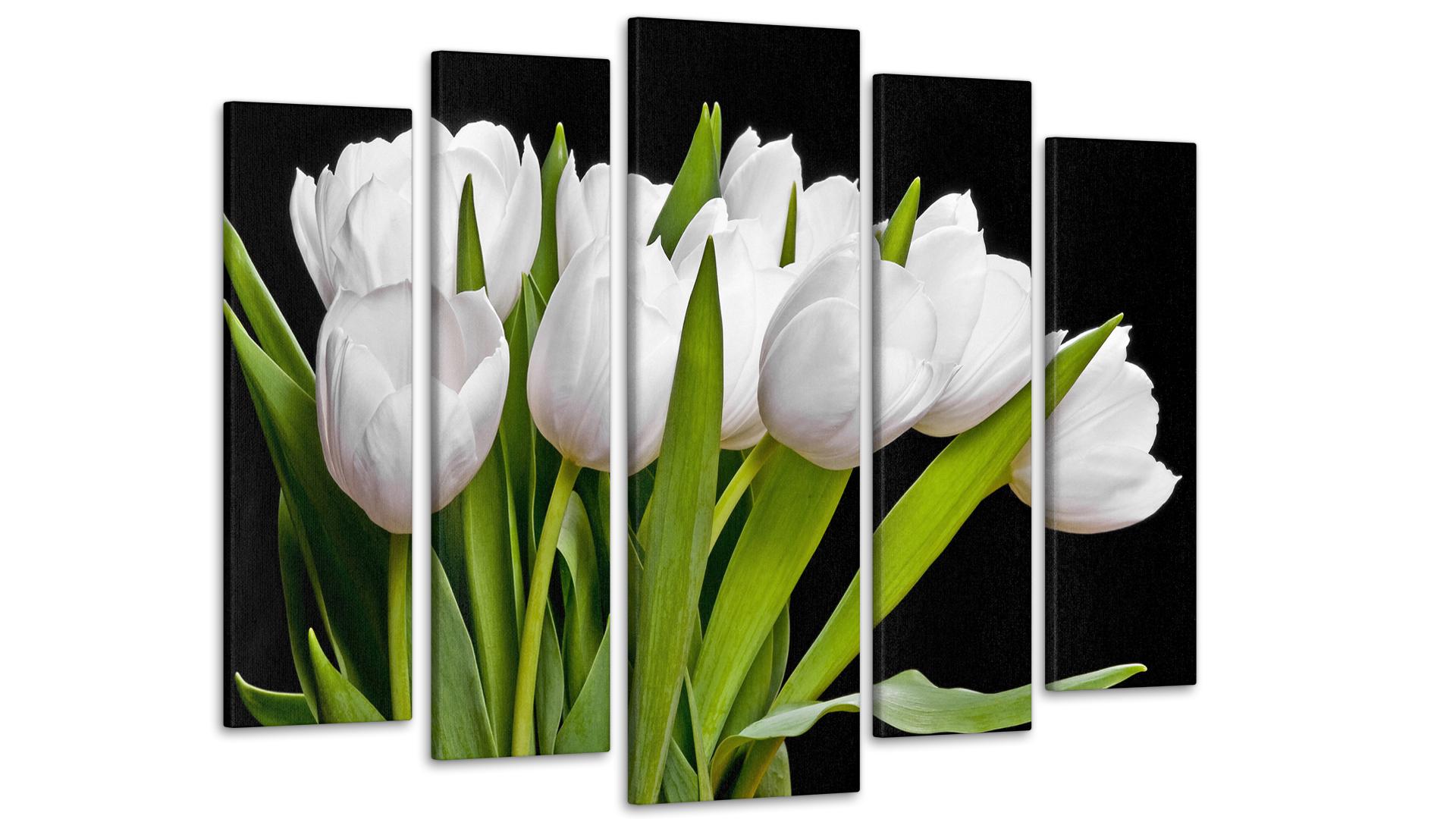 Модульная картина Тюльпаны 80х118 см (Art-84_5)