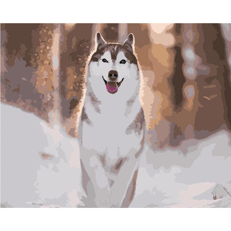Картина по номерам Strateg Премиум Рыжая хаски с лаком и уровнем 40x50 см (GS1576)
