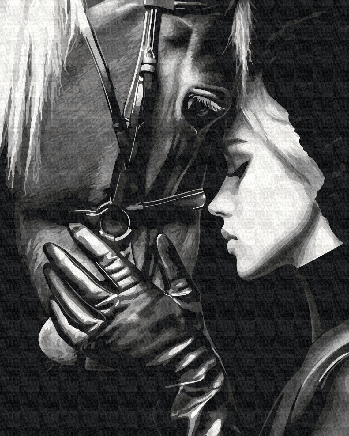 Картина по номерам Brushme Гармония душ 40x50 см (BS54426) Картина по номерам Brushme Гармония душ 40x50 см (BS54426)