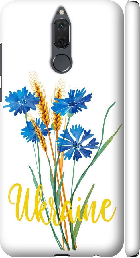 Чехол на Huawei Mate 10 Lite Ukraine v2 (5445m-1240-42517)