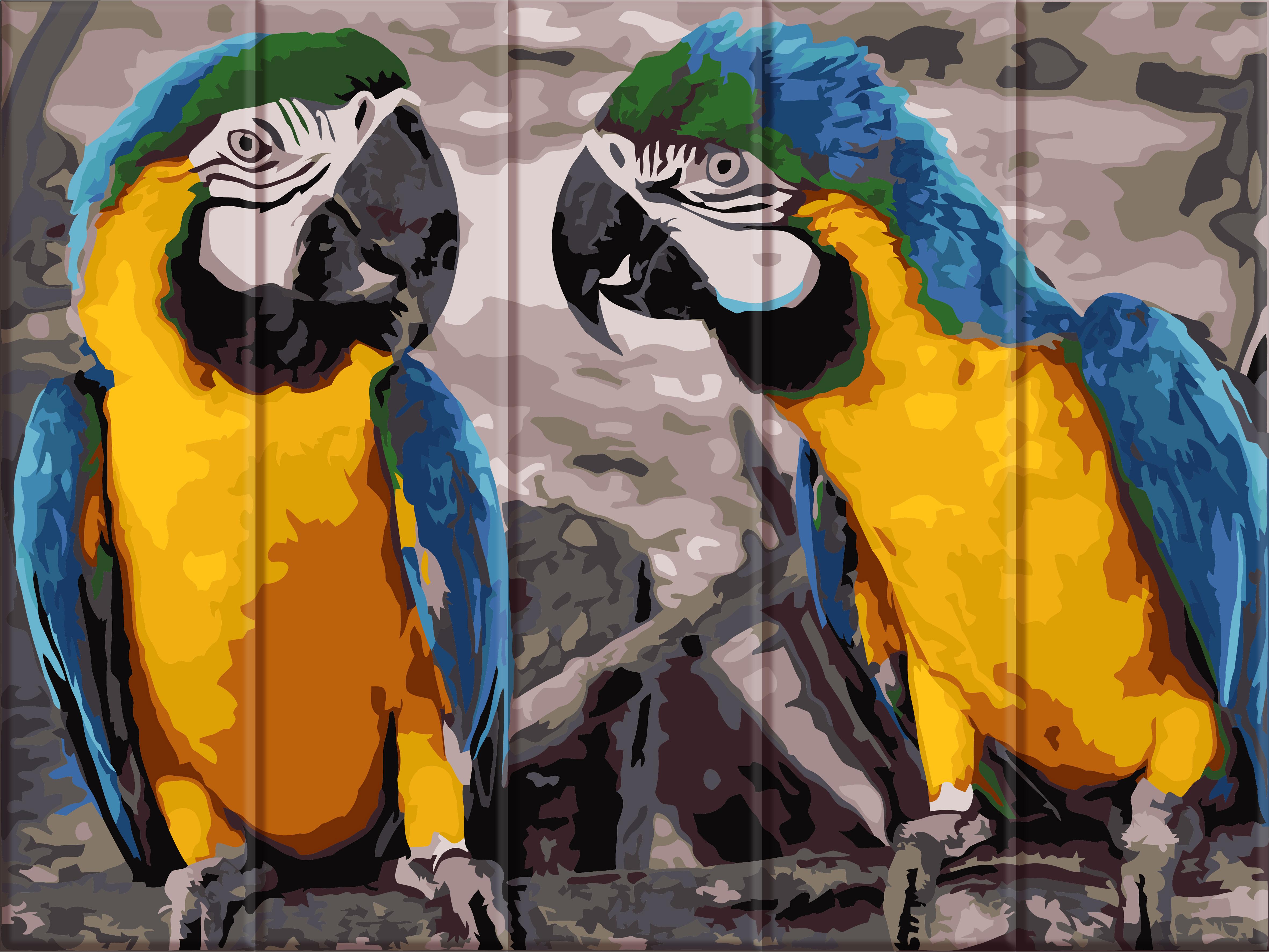 Картина по номерам Art Story Два попугая 30x40 см (ASW057)