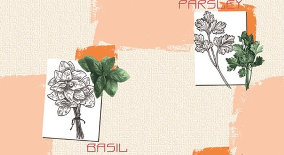 Обои на бумажной основе влагостойкие Шарм 143-10 Vegan 0,53х10 м Серо-оранжевый (63481863545099340e54c526)