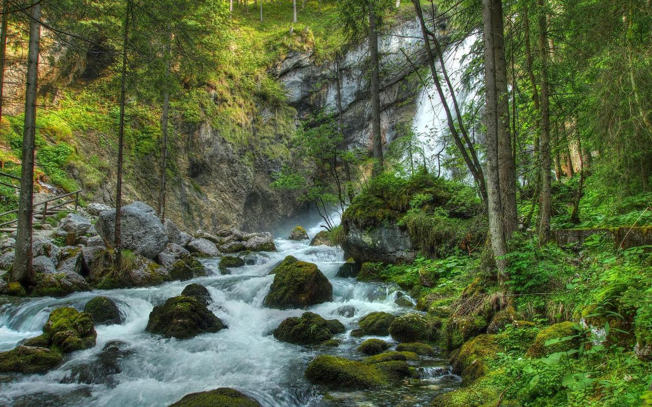 Картина на холсте Водопад 50х70 см (PR399m)
