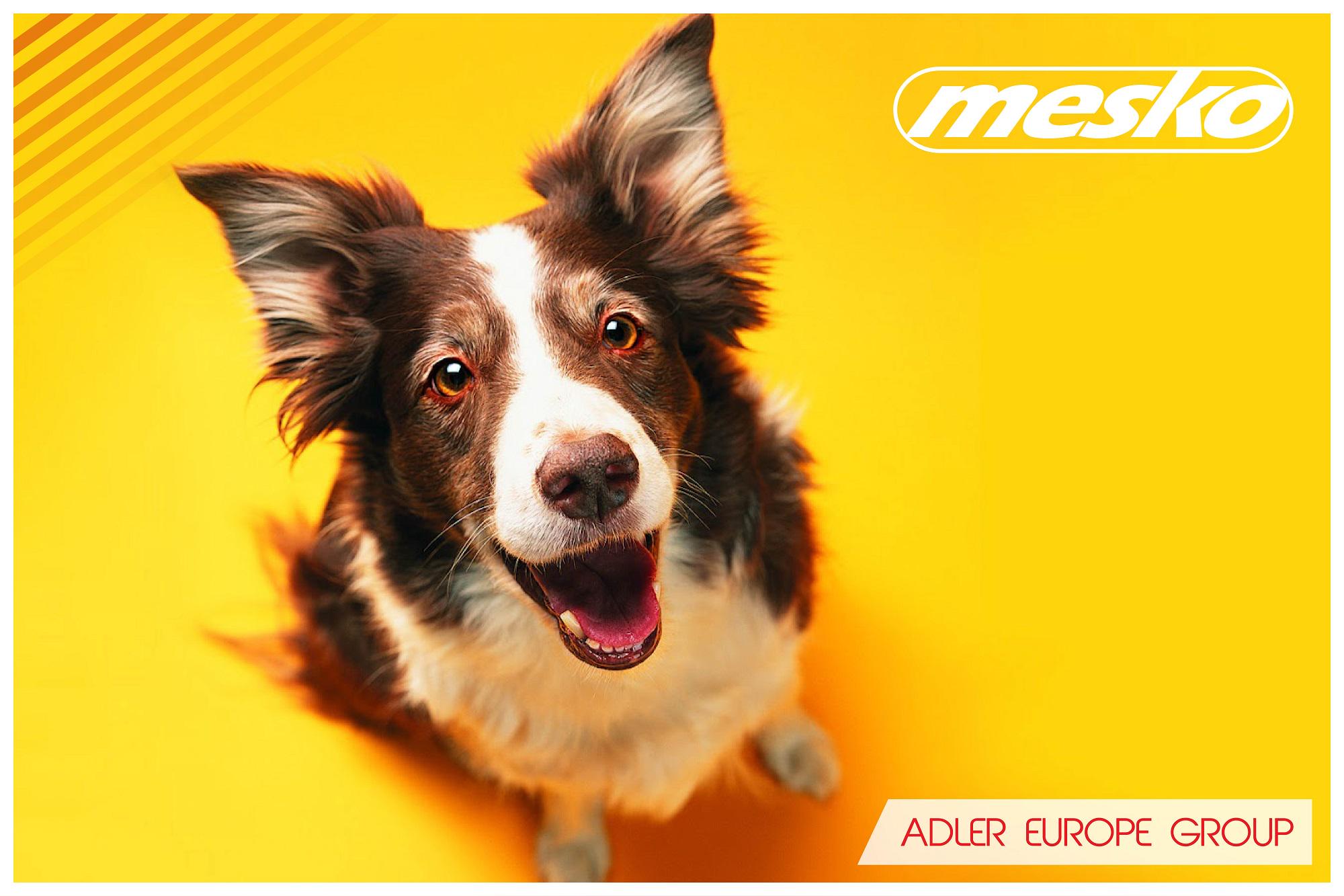 Машинка для стрижки животных Mesko MS 2826 - фото 11 Машинка для стрижки животных Mesko MS 2826 - фото 11