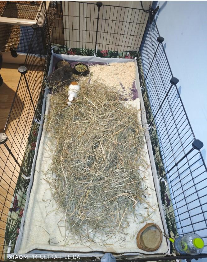 Клітка для гризунів 46х143х73 см - фото 17 Клітка для гризунів 46х143х73 см - фото 17