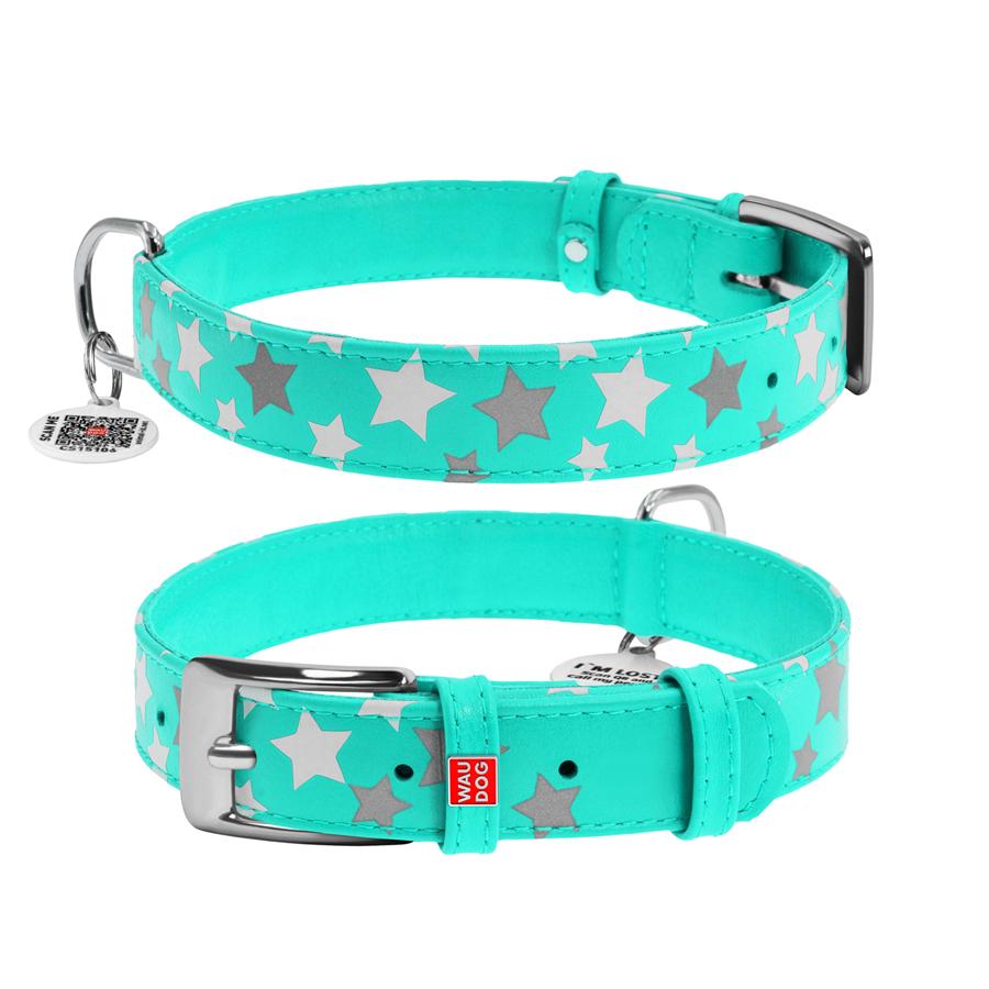 Нашийник для собак з QR-паспортом Waudog Glamour Зірочка шкіряний світиться/світловідбиваючий M 20 мм 30-39 см Mint (358613) - фото 1 Нашийник для собак з QR-паспортом Waudog Glamour Зірочка шкіряний світиться/світловідбиваючий M 20 мм 30-39 см Mint (358613) - фото 1