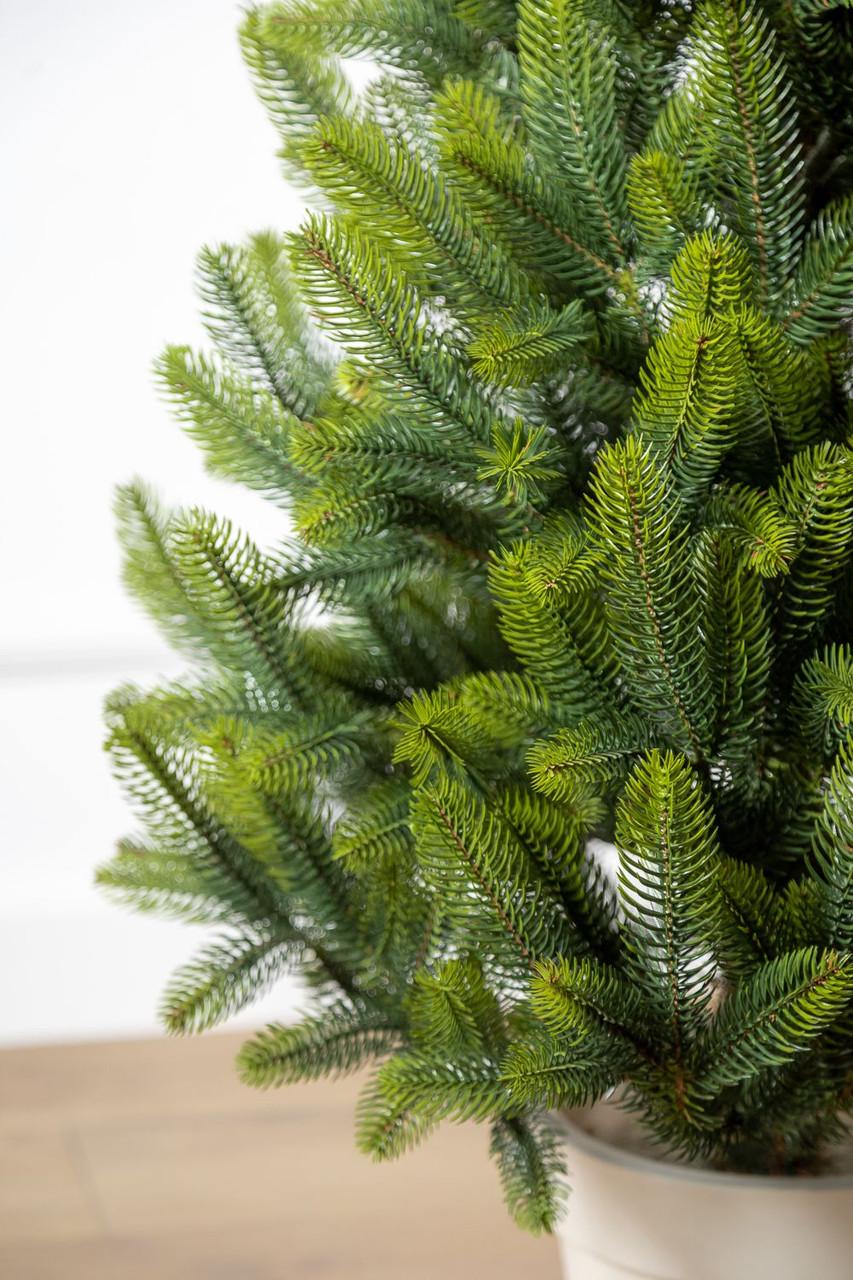 Елка литая SG Лапландская в горшке весенняя 1,10 м - фото 7