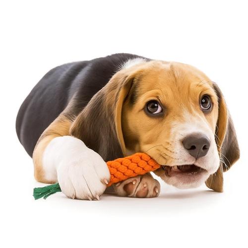 Набор игрушек для собак Purlov 25384 16в1 (25384) - фото 9