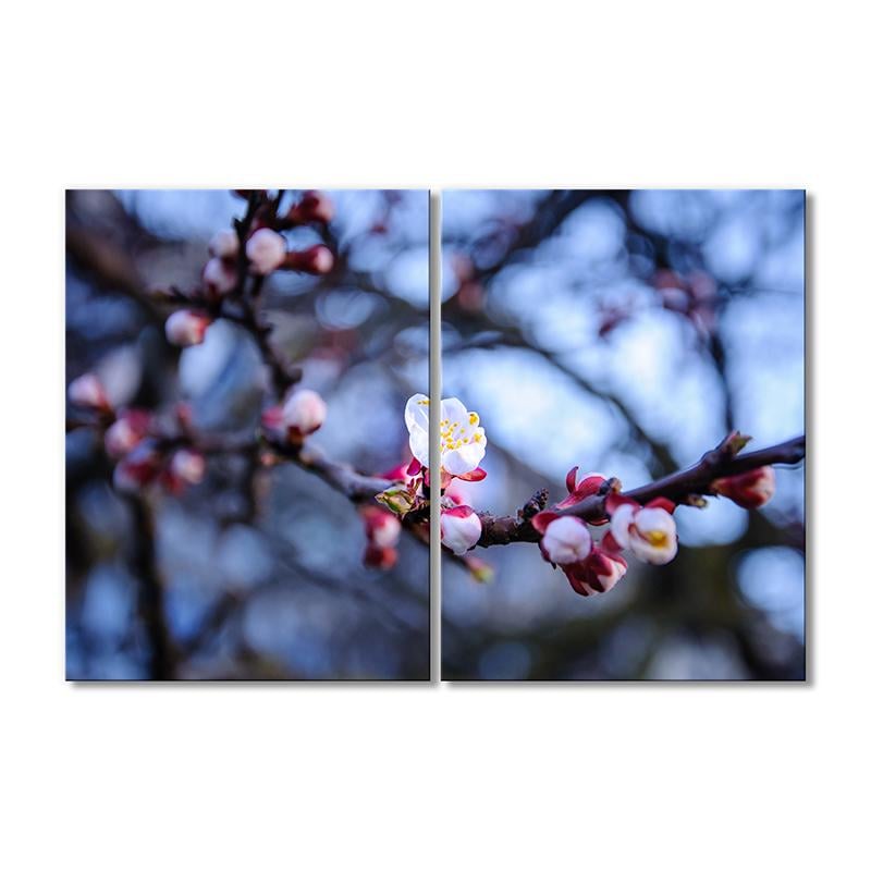 Картина модульная  Весенние ветки яблони 2 модуля 80x120 см