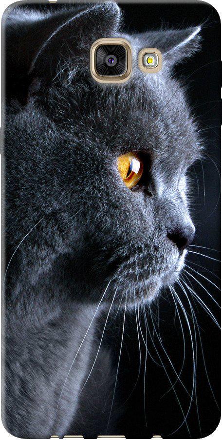 Чехол на Samsung Galaxy A9 Pro Красивый кот (3038u-724-42517)