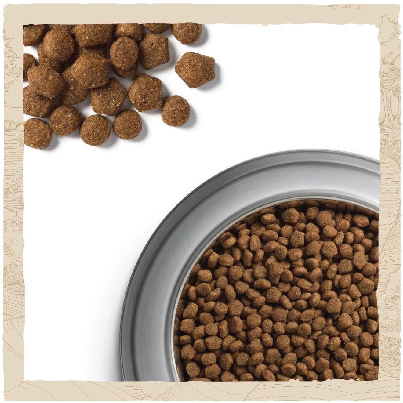 Сухий корм Dog Chow Puppy Lamb для цуценят з ягням 2,5 кг (7613034488657) - фото 4