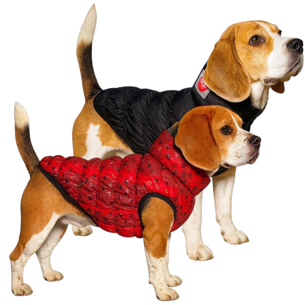 Жилет для собак двосторонній Diego Sport Double р. 4 Червоно-чорний (124182024)