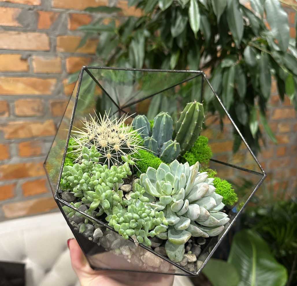 Флораріум Ікосаєдр 20 см (30088865)