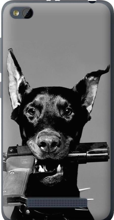 Чехол на Xiaomi RedMi 4A Доберман (2745u-631-42517)