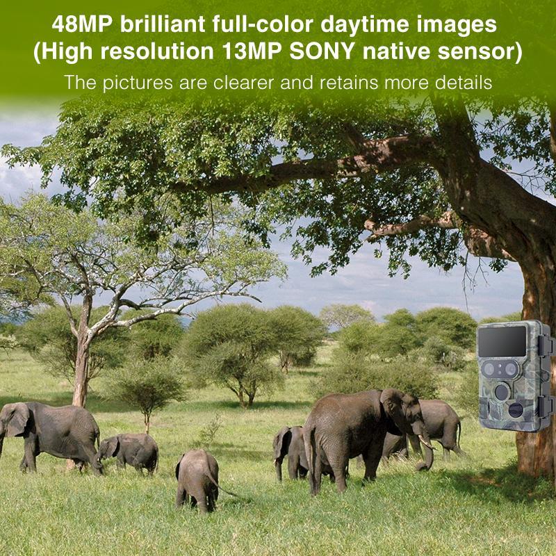 Камера фотоловушка Redleaf DTC10 60MP/4K с поддержкой WiFi (1480453287) - фото 3