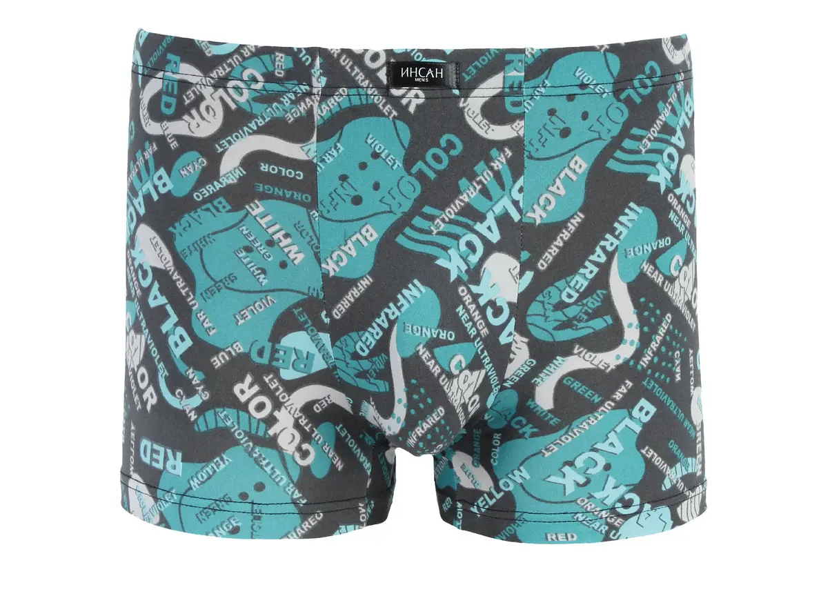 Мужские боксеры стрейчевые Бамбук Indena Insung 2XL р. 48 2 шт. Зеленый (INS-18615)