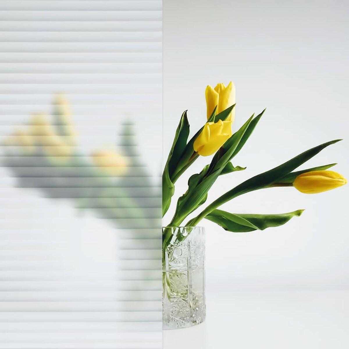 Пленка оконная 600х3000 мм SW-00002166 - фото 5 Пленка оконная 600х3000 мм SW-00002166 - фото 5