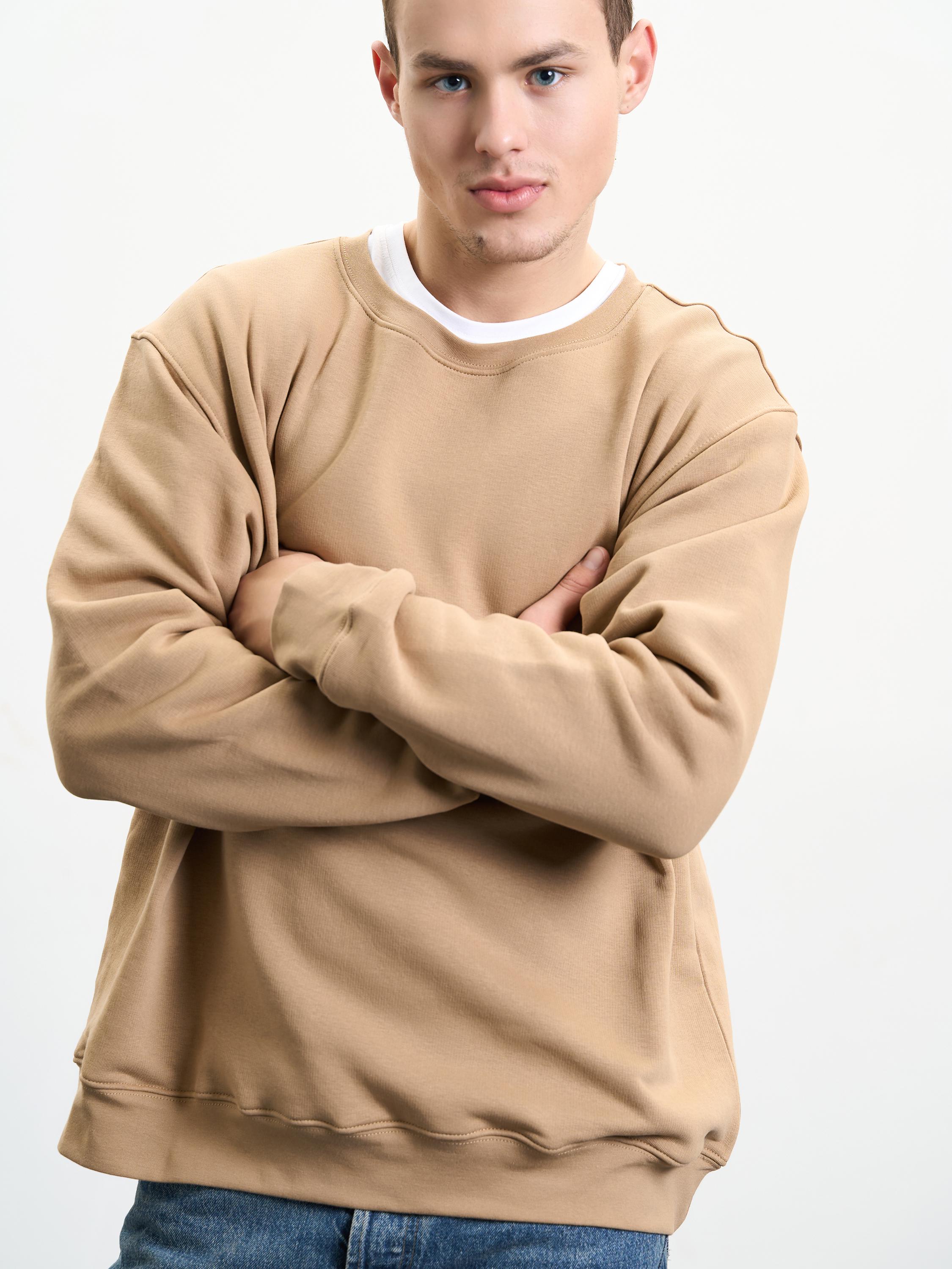 Свитшот мужской утепленный ROZA 240452 S Тофи (4824005710865) - фото 4 Свитшот мужской утепленный ROZA 240452 S Тофи (4824005710865) - фото 4