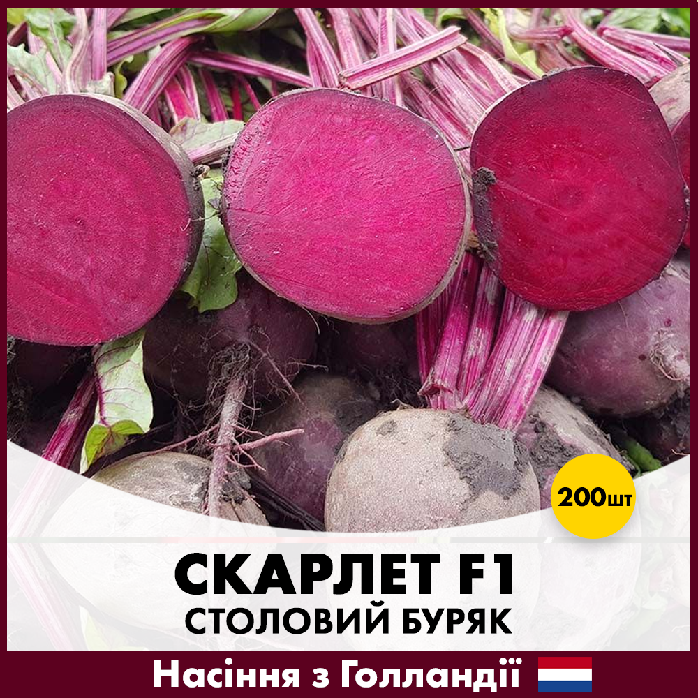 Семена свеклы Hazera Столовый Скарлет F1 200 шт. (R50214)