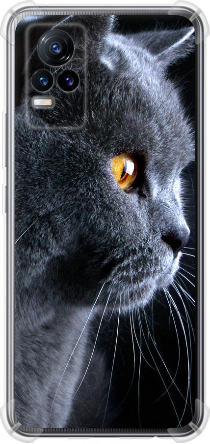Чехол на Vivo V21E Красивый кот (3038sp-2375-42517) Чехол на Vivo V21E Красивый кот (3038sp-2375-42517)