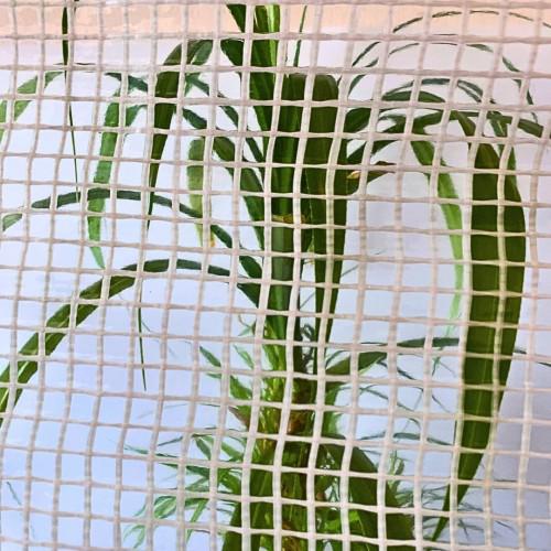 Тент армированный AGREEN 90 г/м² 4х5 м Прозрачный (10705344) - фото 4 Тент армированный AGREEN 90 г/м² 4х5 м Прозрачный (10705344) - фото 4