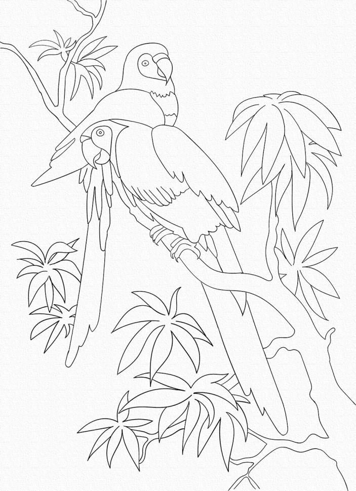 Роспись на холсте Art Craft Попугаи 25х30 см (15507-AC)