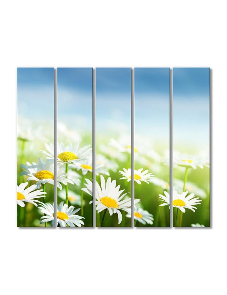 Картина модульная Сказочные ромашки 5 модулей 80x120 см