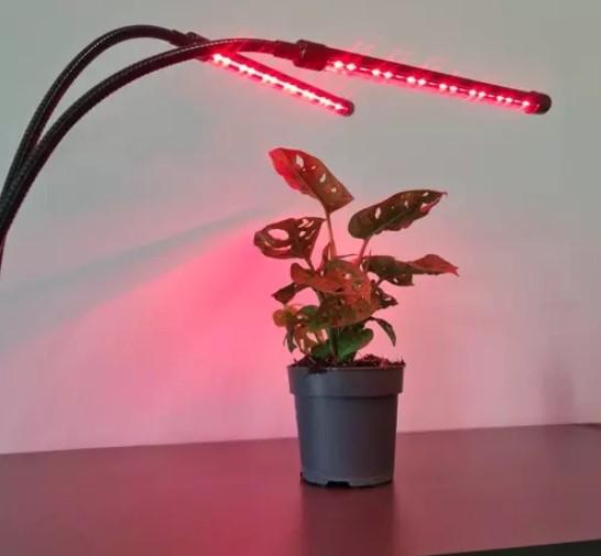 Лампа для роста растений Gardlov 19241 20 LED 2 шт. (29191343) - фото 11 Лампа для роста растений Gardlov 19241 20 LED 2 шт. (29191343) - фото 11