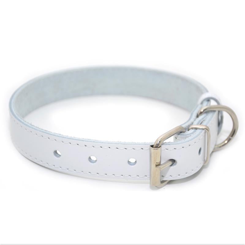 Ошейник для собак Zoo-hunt Весна кожаный 4,5/56-66 см Белый - фото 1 Ошейник для собак Zoo-hunt Весна кожаный 4,5/56-66 см Белый - фото 1