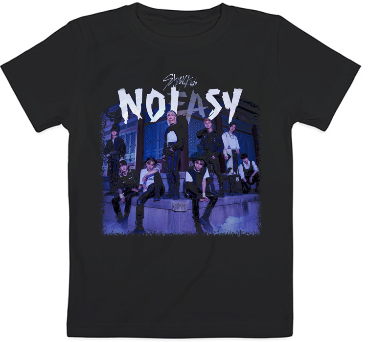 ᐉ Футболка дитяча Stray Kids Noeasy Чорний (58360) • Краща ціна в Києві ...