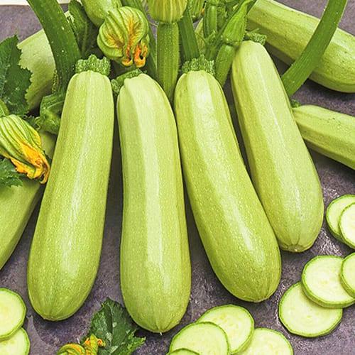 Семена Кабачок Florium Чаклун (7814)