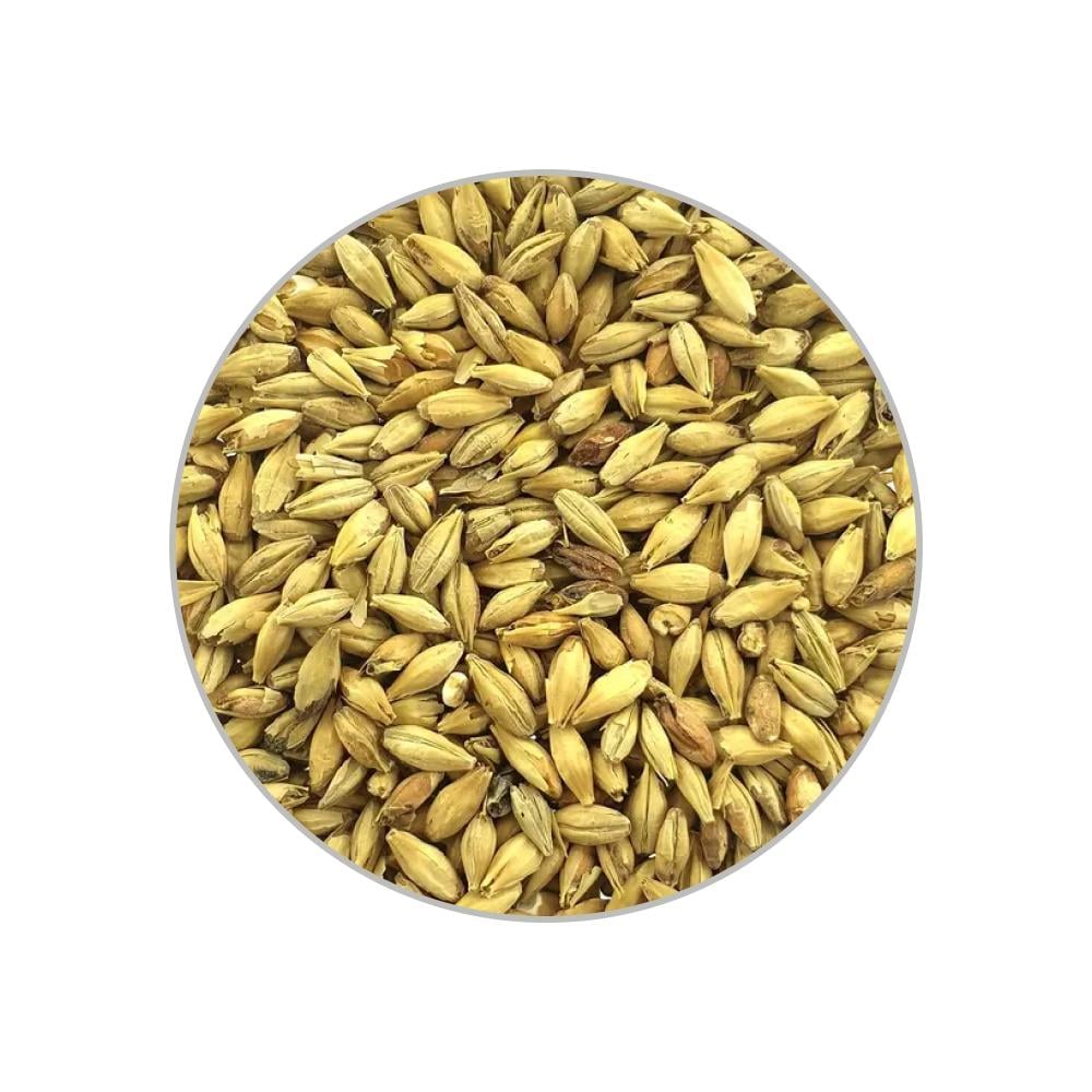 Солод Castle Malting Шато Мюнік лайт Munich15 1 кг Солод Castle Malting Шато Мюнік лайт Munich15 1 кг
