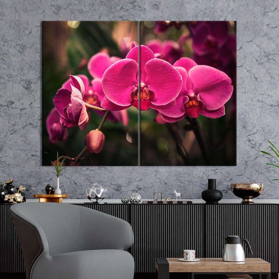 Картина цветы и растения Яркое цветение орхидеи 71x51 см (A1059-2)