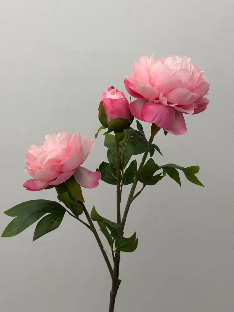 Штучна текстильна півонія 2 квітки 1 бутон на гілці 78 см Рожевий (P0030)