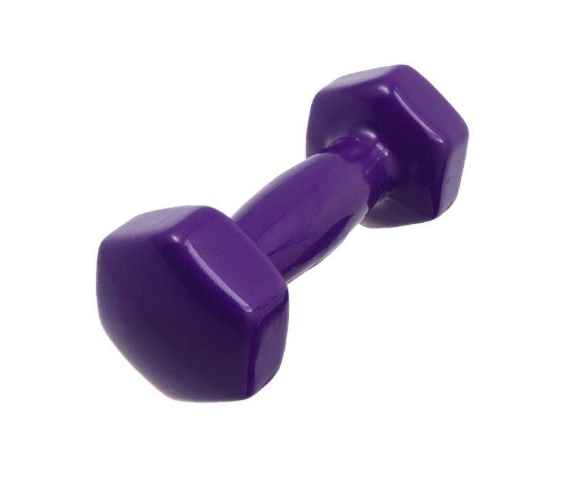Гантель для фитнеса OSPORT FI-0105-3 Profi 3 кг Фиолетовый