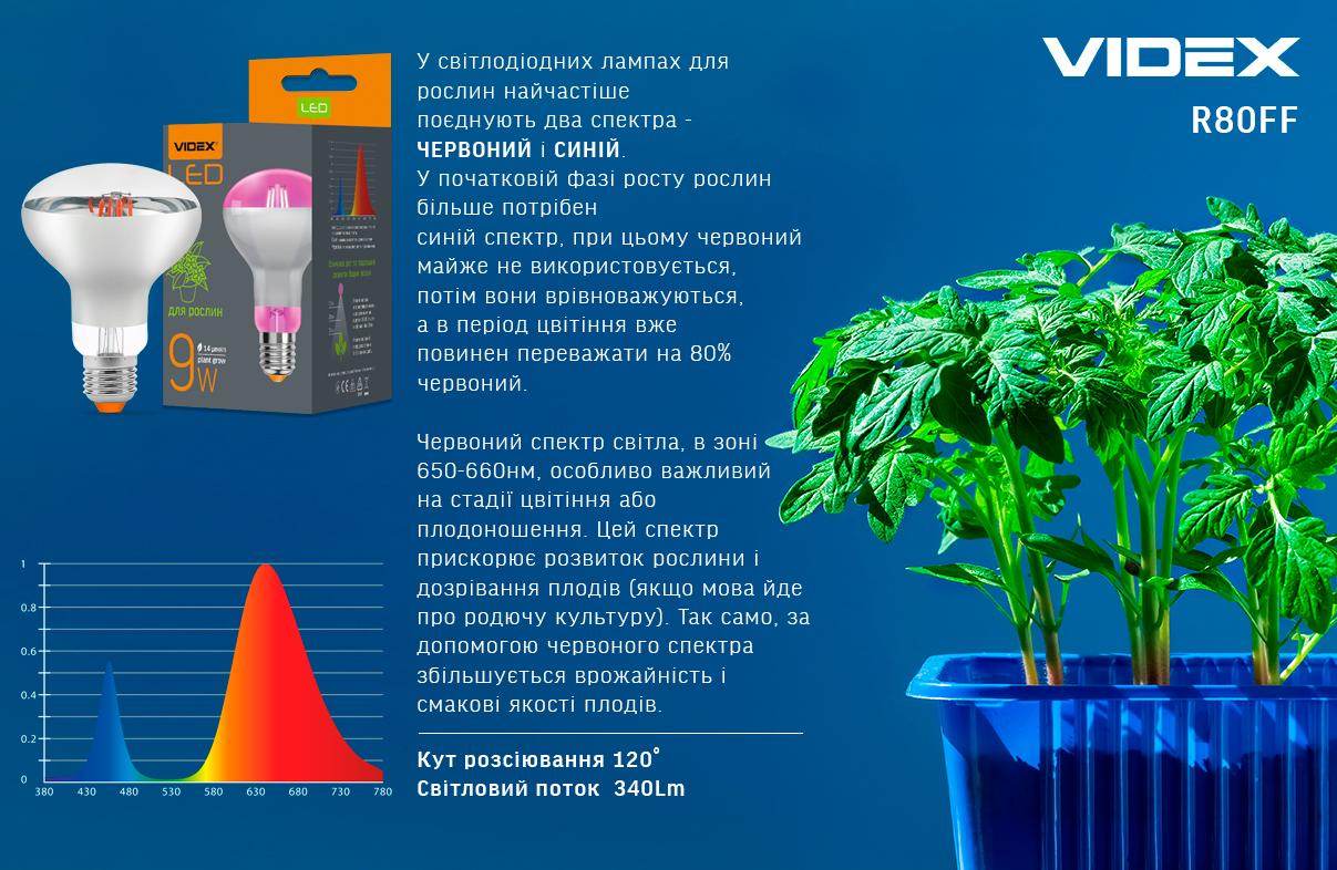 Лампа LED Videx Filament R80FF 09W E27 1200K (13864) - фото 2 Лампа LED Videx Filament R80FF 09W E27 1200K (13864) - фото 2