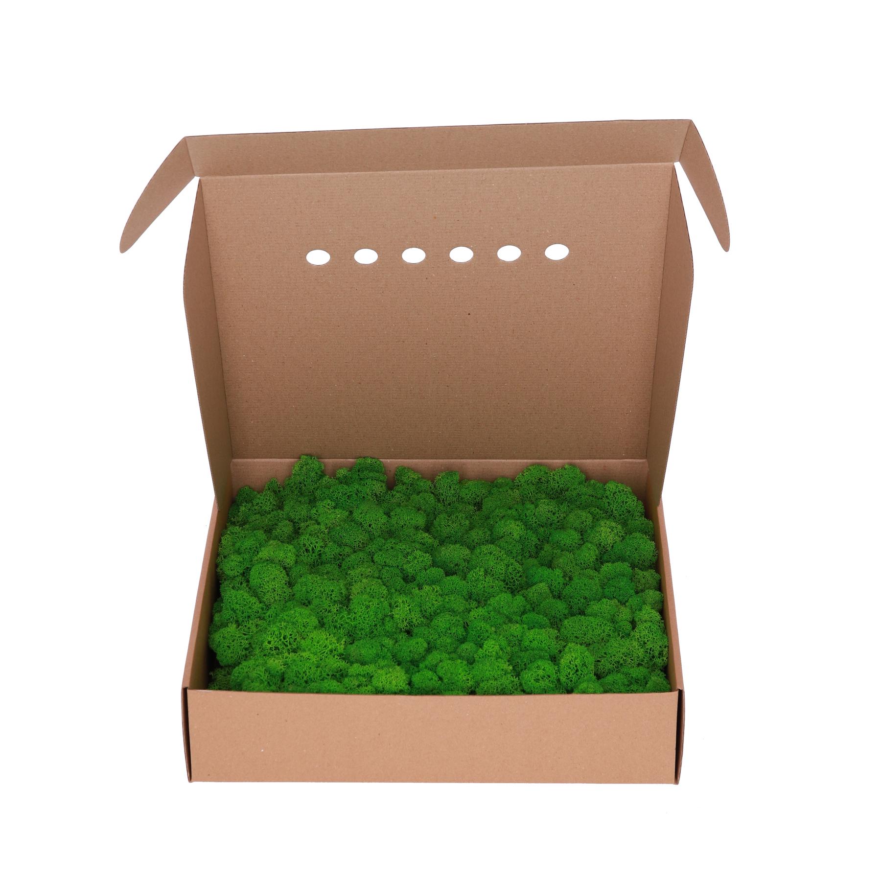 Стабілізований мох Canopy Ягель 1 кг Nature Green (102-10) - фото 3