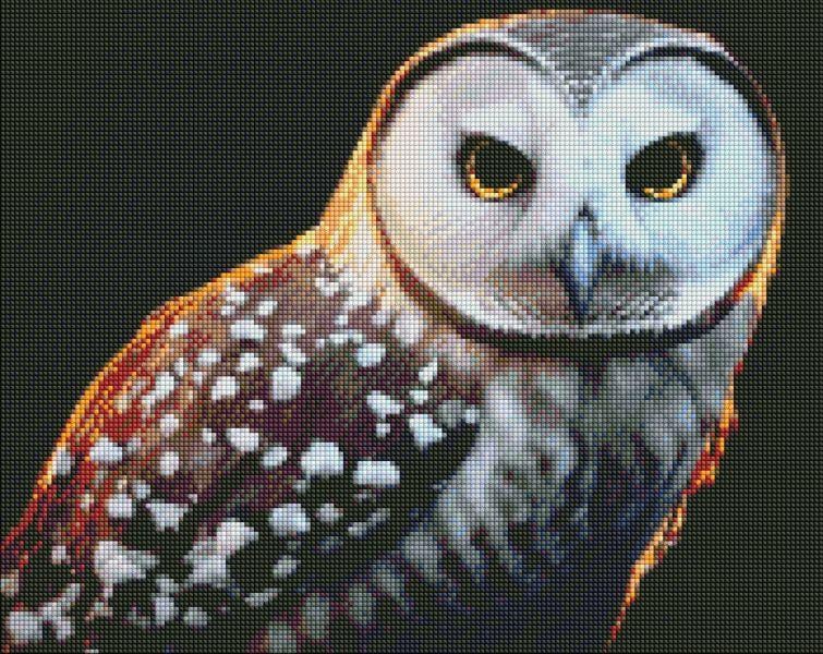 Алмазна мозаїка Ідейка Гордий погляд 40х50 см (AMO7445)