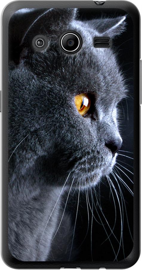 Чехол на Samsung Galaxy Core 2 G355 Красивый кот (3038u-75-42517)