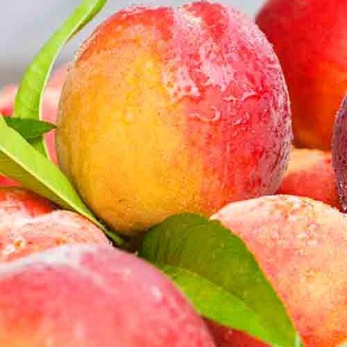 Нектарин Супер Квін літній сорт ранній (29294047)