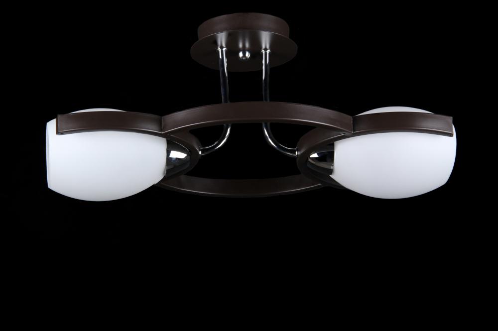 Люстра с плафонами Ray L830951/2 (IR006193)