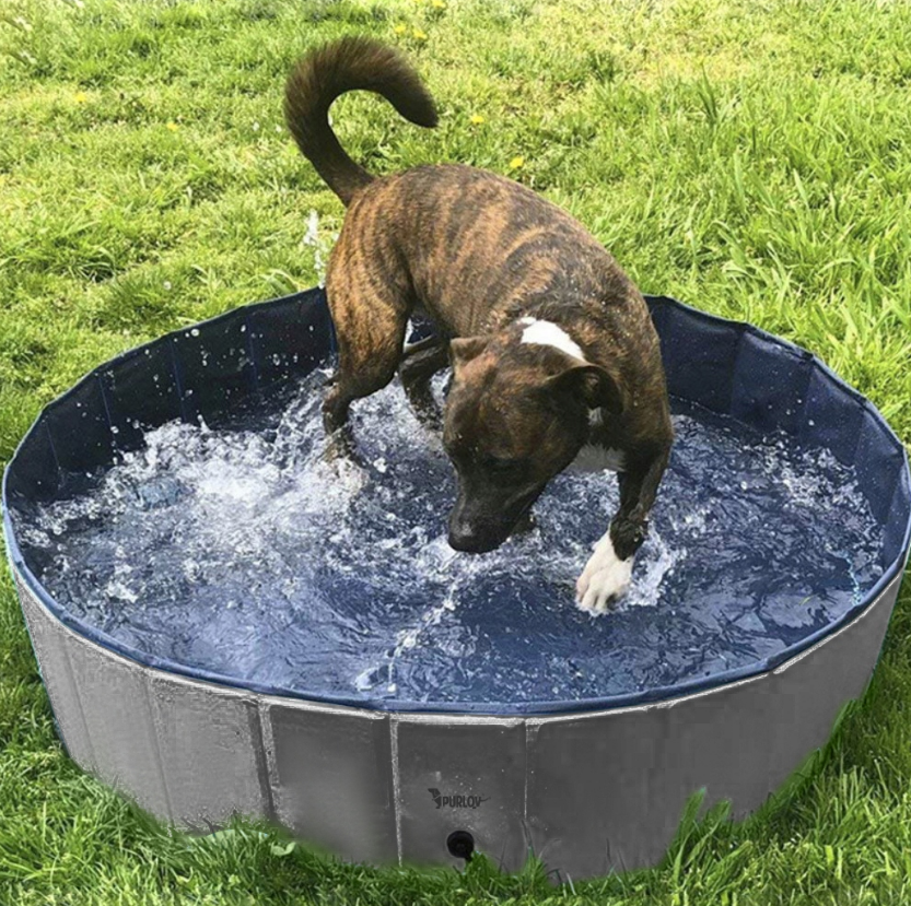 Бассейн для собак Purlov XXL 100x30 см (20929) - фото 5