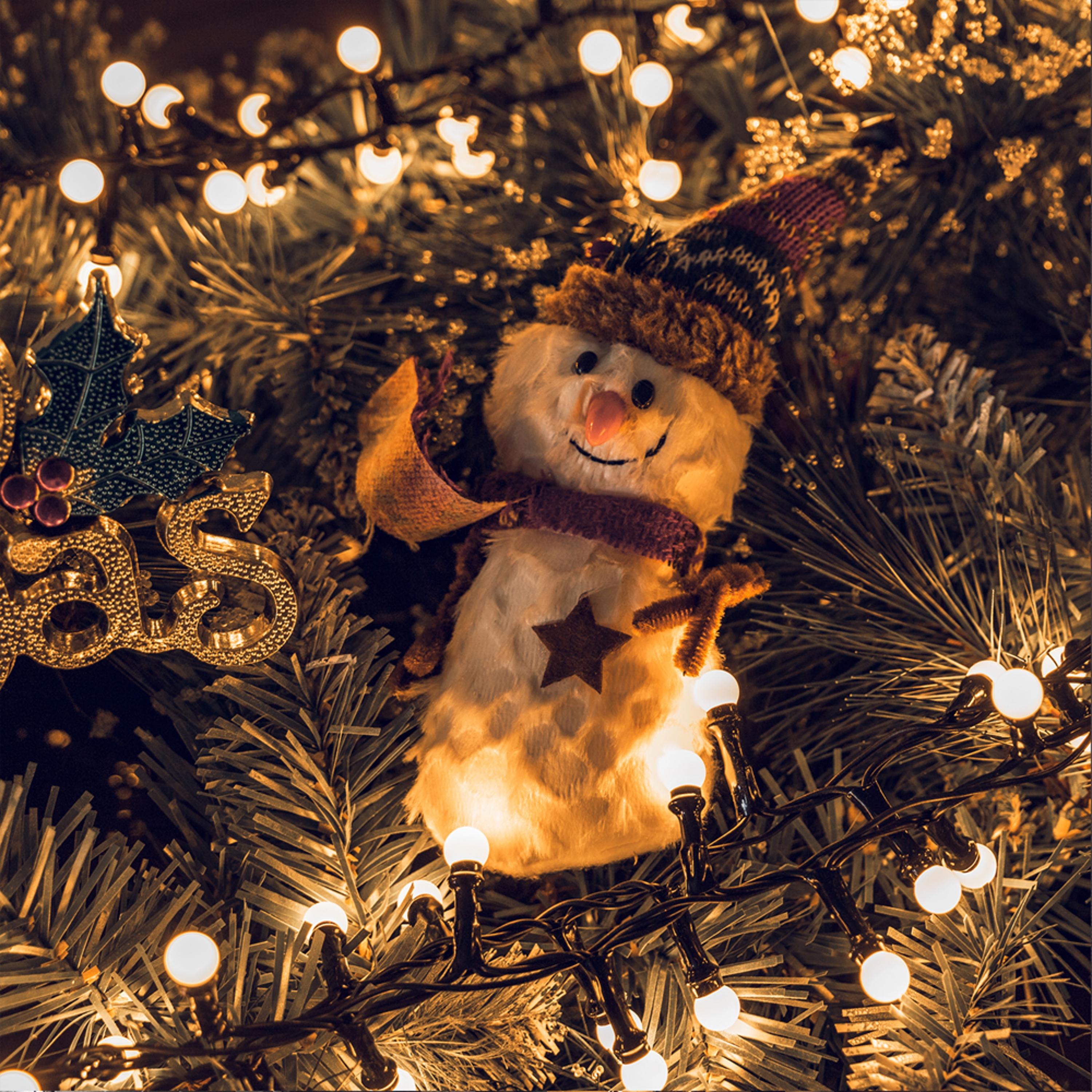 Гірлянда світлодіодна 10 м 220V 480 leds Білий теплий (WLS-QX-DC2164W10) - фото 4 Гірлянда світлодіодна 10 м 220V 480 leds Білий теплий (WLS-QX-DC2164W10) - фото 4