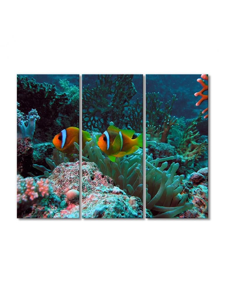 Картина модульная Рыбки клоуны 3 модуля 50x75 см