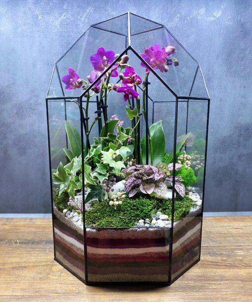 Флорариум с орхидеей в куполе Красавица 45 см