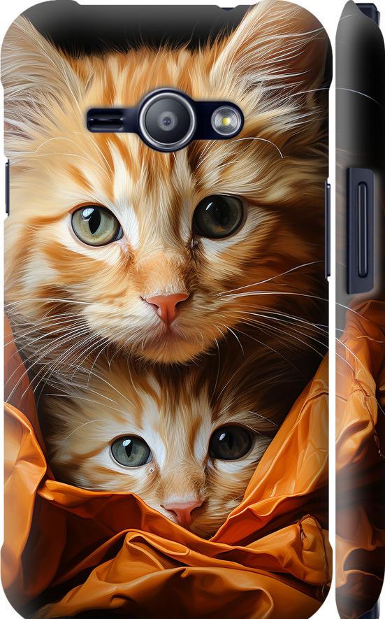 Чехол на Samsung Galaxy J1 Ace J110H Котики 2 (5664m-215-42517)