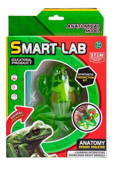Набір для дослідів Maya Toys Анатомія тварин Жаба (арт. 801B)