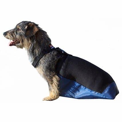 Повзунки Frakishtak для тварин S Синій/Чорний (28109294)