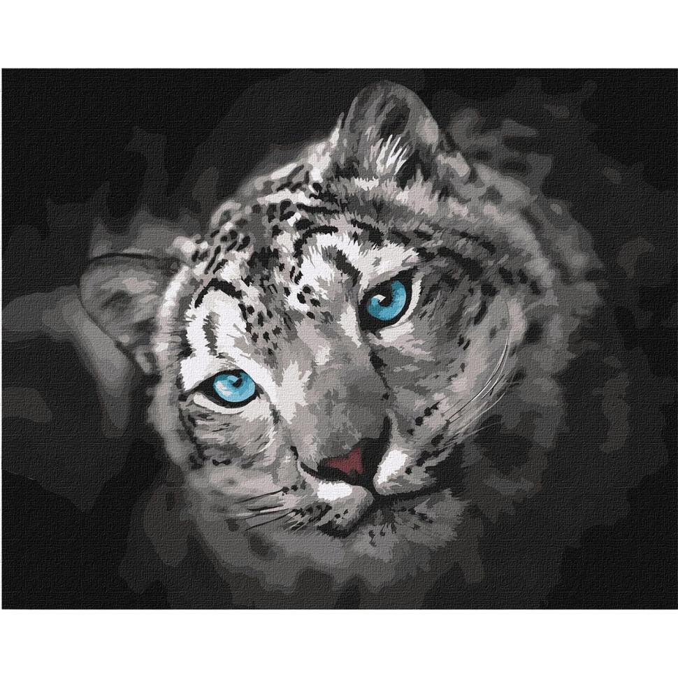 Картина по номерам Идейка Небесный взгляд 40х50 см (KHO4306)